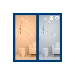 Dubbelpack 2x WiZ Smart LED E27 Edison Filament Guld 7W 640lm | Bästa Färgåtergivning - Dimbar - Ersättare 50W