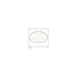 Ledvance LED Gatubelysning Area Urban Lykta Grå 29W 2040lm 145D - 830-840 CCT | IP66 - Symmetrisk