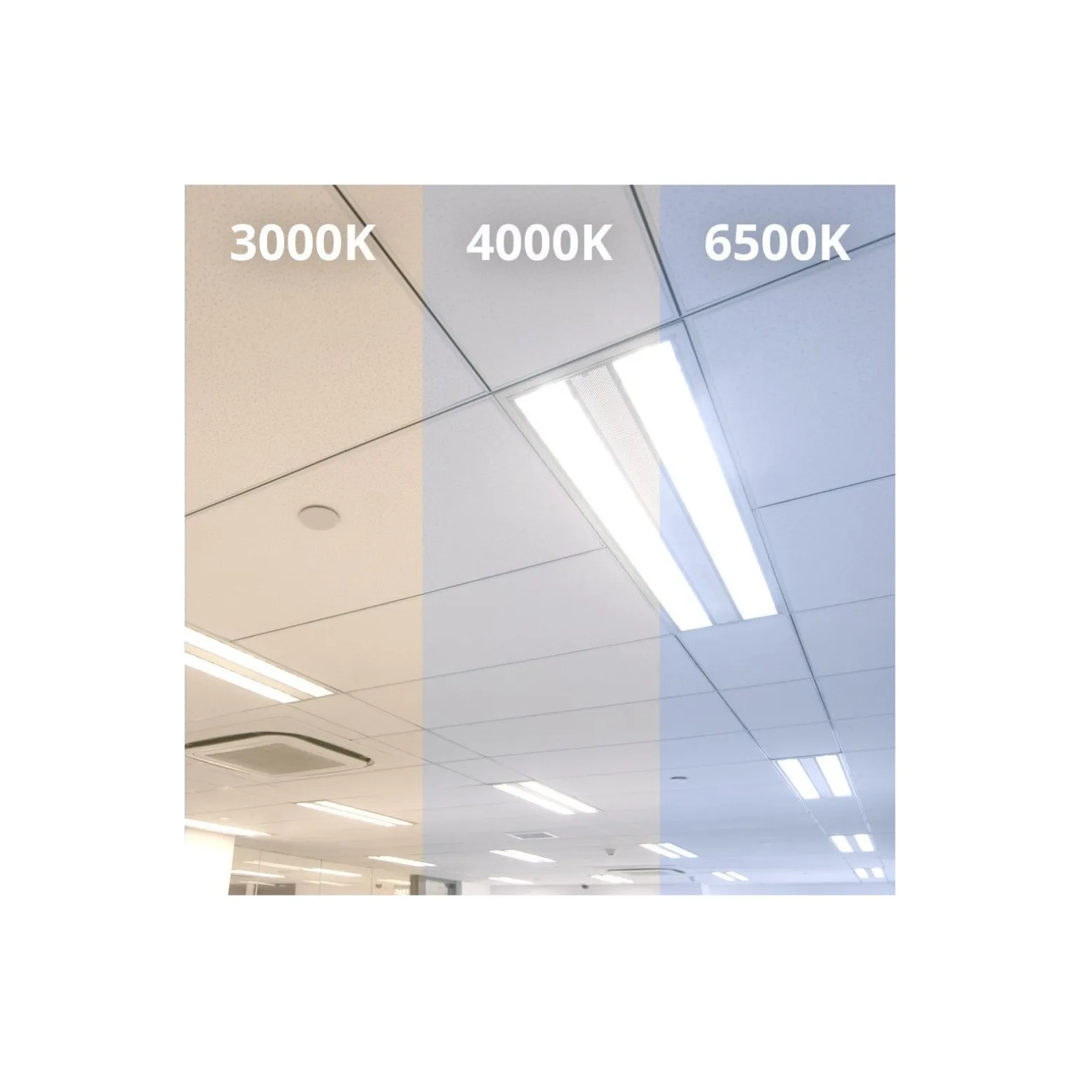 Noxion LED Rör T8 Avant (EM/Mains) Standard Output 15W 1800lm - 865 Dagsljus | 120cm - Ersättare 36W