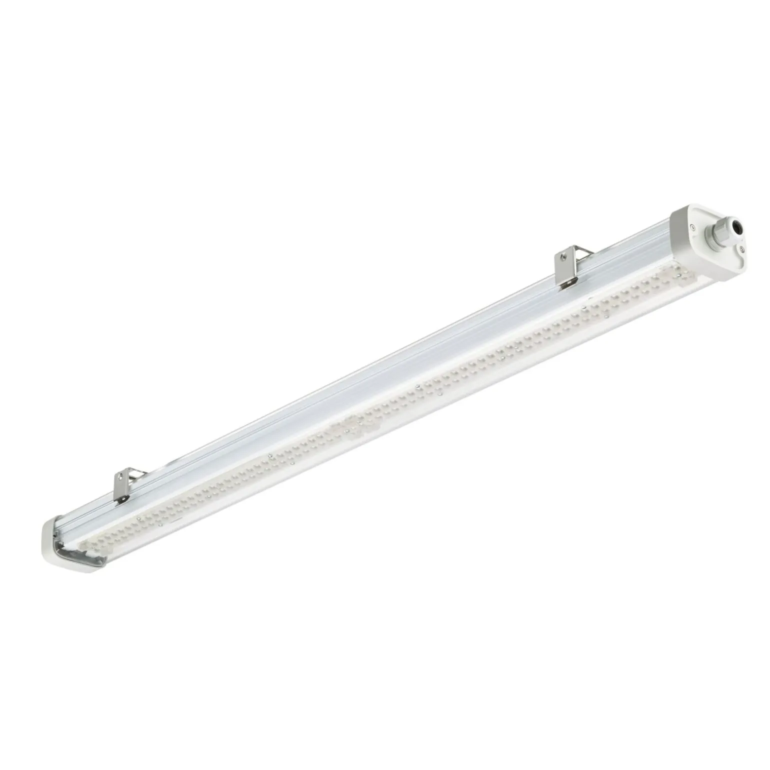 Philips LED Allmänbruksarmatur Vattentät Pacific WT475C 31.5W 4200lm - 840 Kallvit | 120cm - Dali Dimbar
