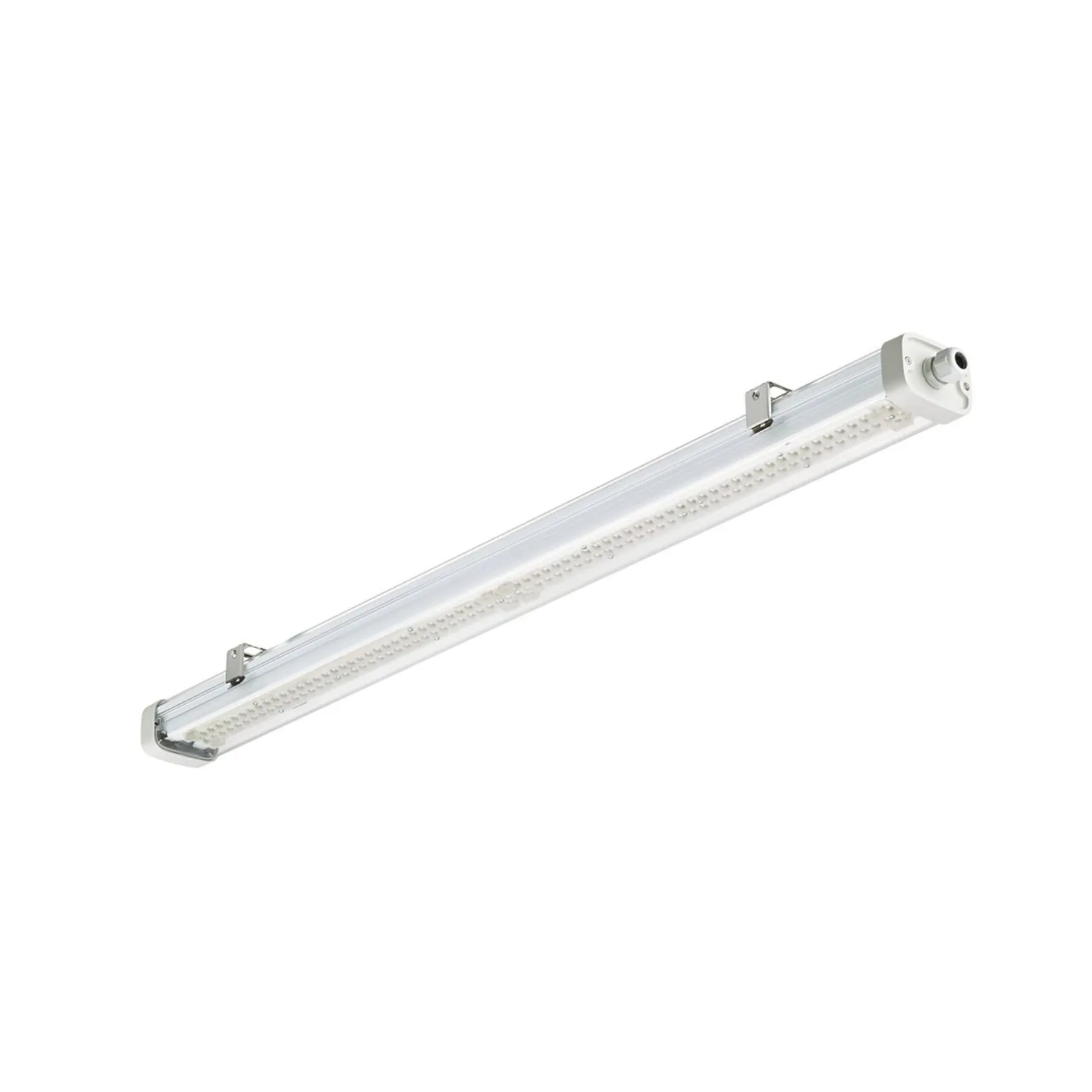 Philips LED Allmänbruksarmatur Vattentät Pacific WT475C 31.5W 4200lm - 840 Kallvit | 120cm - Dali Dimbar