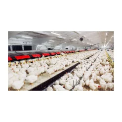 Philips LED Allmänbruksarmatur Vattentät CoreLine Tubular WT210C 28W 3900lm - 840 Kallvit | 150cm