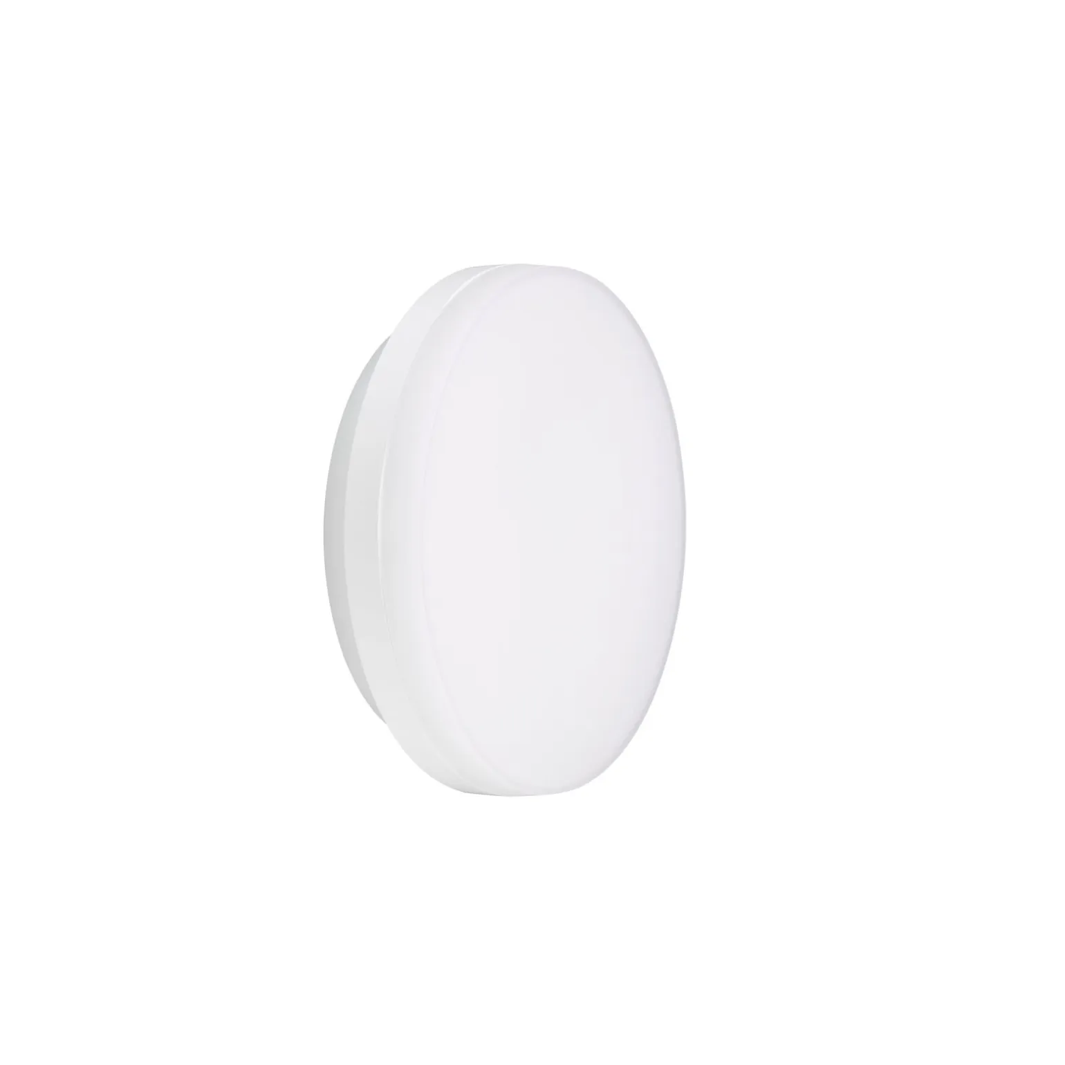 Philips LED Plafond CoreLine WL200V Vit 13W 500lm - 830-840 CCT | 220mm - IP65