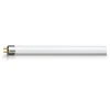 Philips MASTER Actinic BL T5 Short 8W - Ultraviolett | 29cm