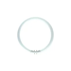 Philips MASTER TL5C Cirkulär 60W - 840 Kallvit | 38cm