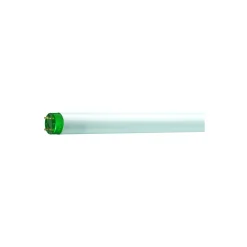 Philips MASTER TL-D ECO 51W - 865 Dagsljus | 150cm