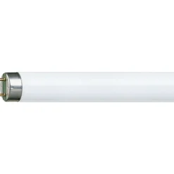Philips MASTER TL-D HF Super 80 16W - 840 Kallvit | 60cm