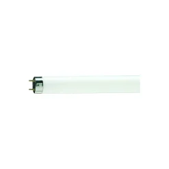 Philips MASTER TL - D 58W - 79 Food | 150cm