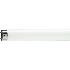 Philips MASTER TL - D 58W - 79 Food | 150cm