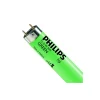 Philips MASTER TL-D 36W - Grön | 120cm