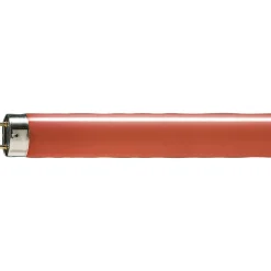 Philips MASTER TL-D 18W - Röd | 60cm