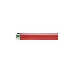 Philips MASTER TL-D 18W - Röd | 60cm