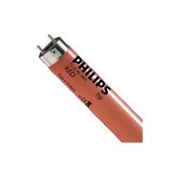 Philips MASTER TL-D 18W - Röd | 60cm