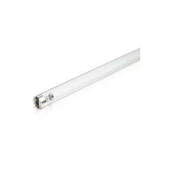 Philips T8 UV - C 36W - Ultraviolett | 120cm